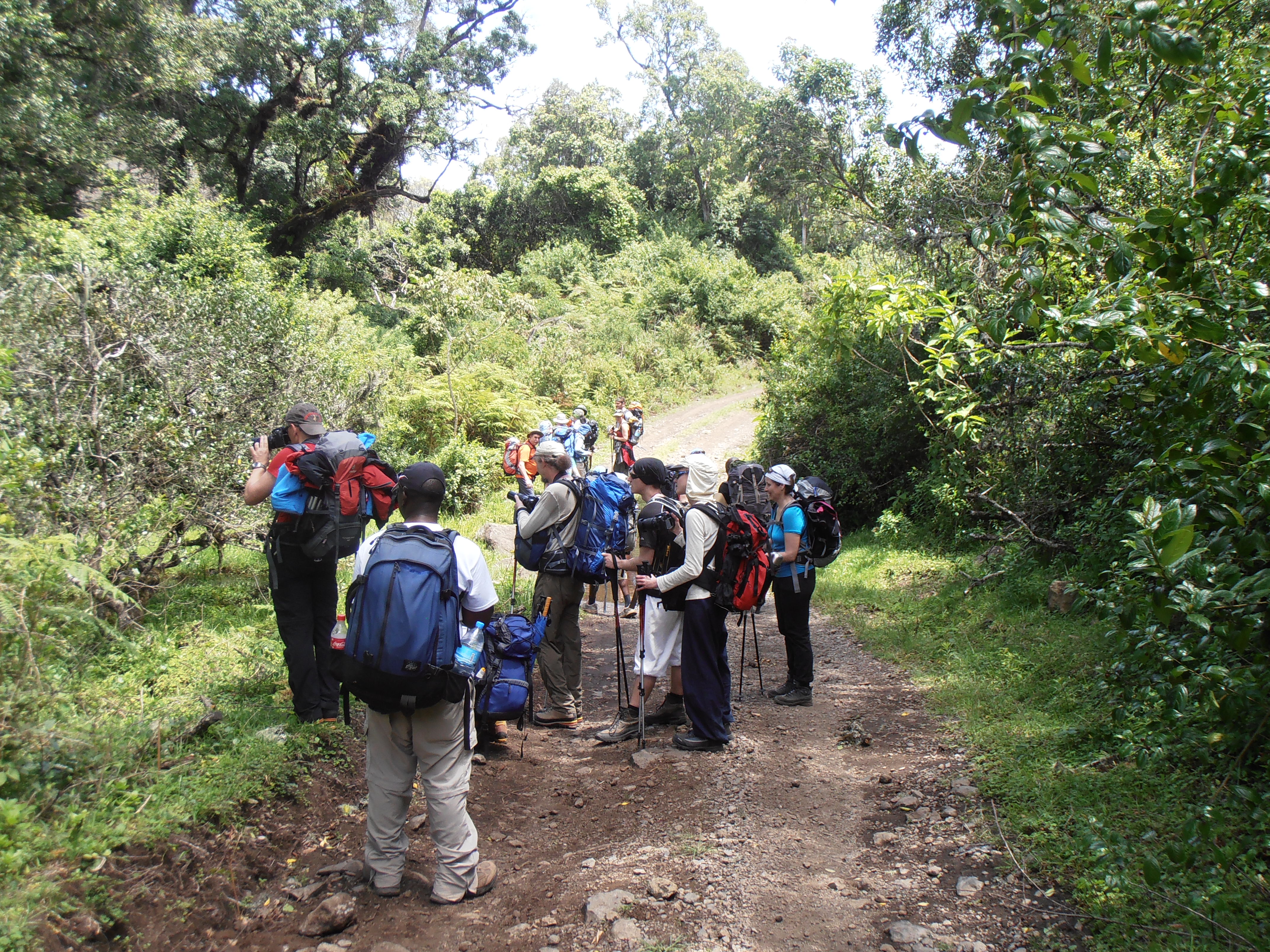 Group on Kilimanjaro