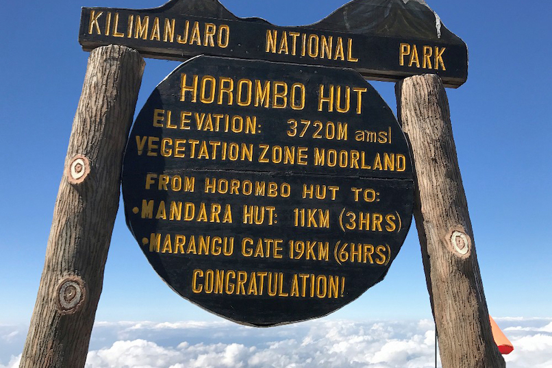 Mandara hut to Horombo hut