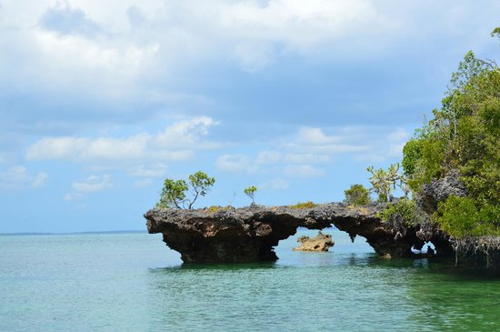 Simba Camp to Kikelewa Camp